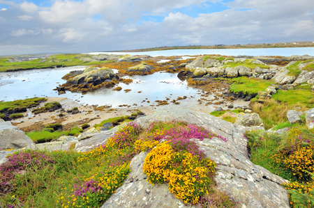 ireland landscape hdr shoot in summer timeの写真素材