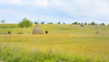 A stack of hay in MaramureÅ, Romaniaの写真素材