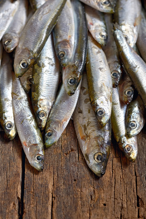 Heap of small fresh anchoviesの写真素材