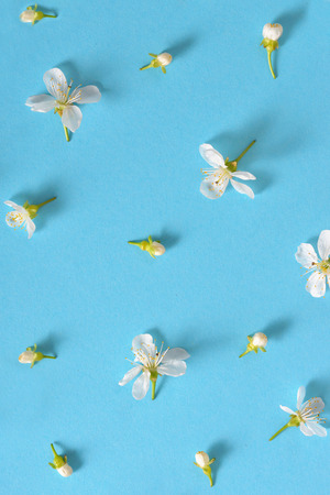 white cherry blossoms on blue background, abstractの写真素材