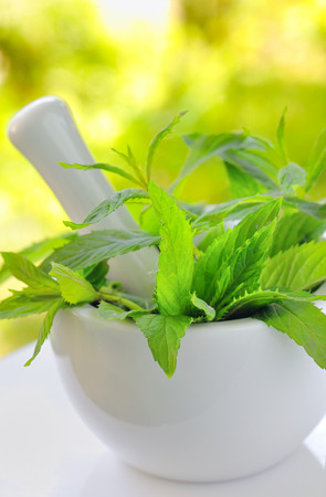 branch of fresh mint in  stone mortarの写真素材