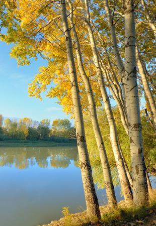 Siret river and sunrise in the autumn forestの写真素材