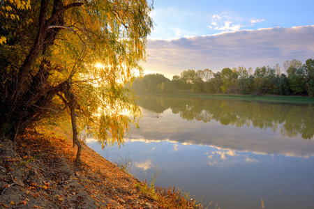Siret river and sunrise in the autumn forestの写真素材