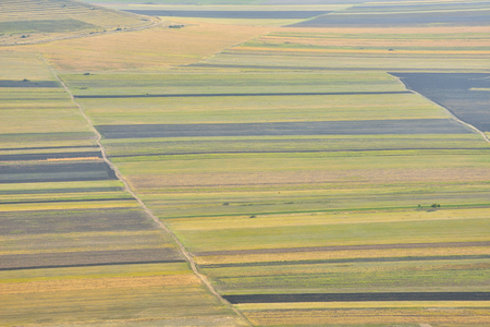 Stubble Fields in Dobrogea, Romaniaの写真素材