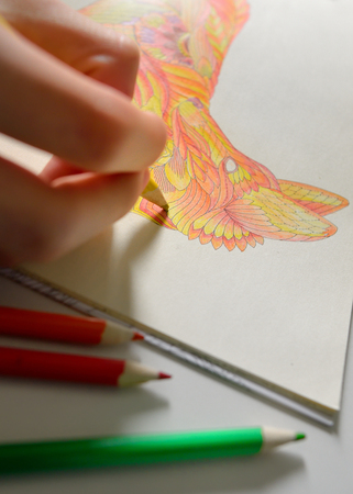New trendy adults coloring book with vintage twistの写真素材