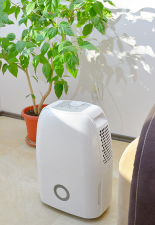 Portable dehumidifier colect water from air inside of living roomの写真素材