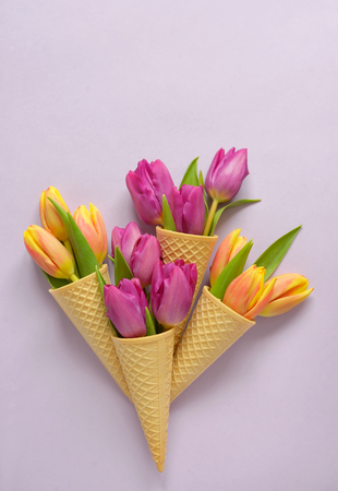 Concept with tulips in wafer ice cream coneの写真素材