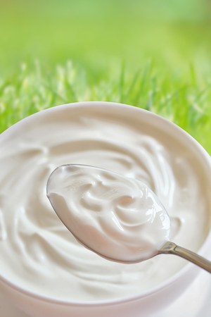 Ceramic bowl of white yoghurt in spoonの写真素材