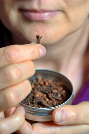 Woman chew dried clove spice for fresh breathの写真素材