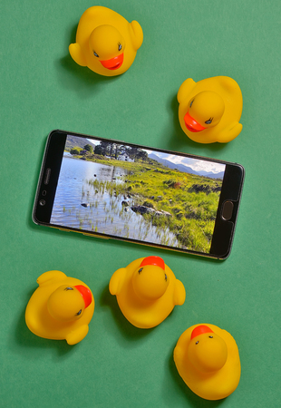 Yellow rubber ducks and smartphone concept isolated in studioの写真素材