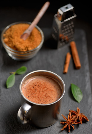 Cup of hot chocolate, cinnamon sticks and Coconut palm sugarの写真素材