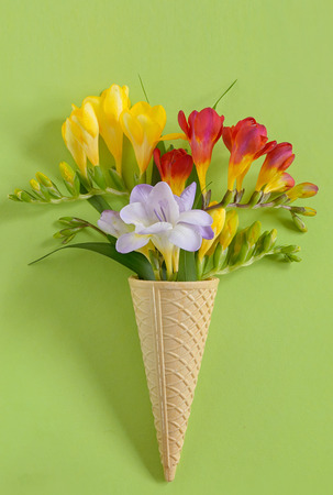 Freesias flowers in ice cream wafflesの写真素材