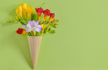 Freesias flowers in ice cream wafflesの写真素材
