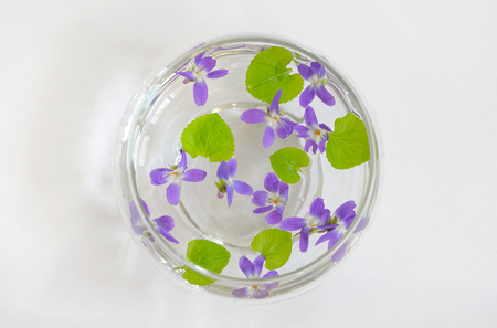 Sweet violet, viola odorata in vaseの写真素材