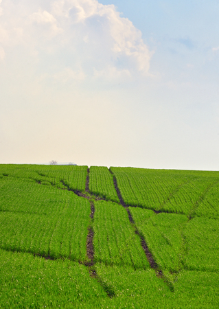 Hashtag sign on field from trailsの写真素材