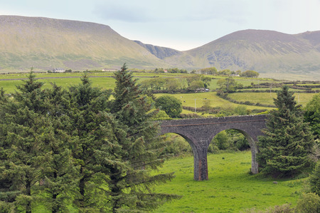 Ireland countryside view in summer timeの写真素材
