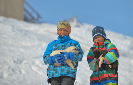 Greenland dog puppies and kids in Kulusuk, Greenland- 07 April 2013のeditorial素材
