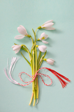 Bouquet of snowdrops on green backgroundの写真素材