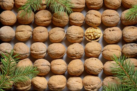 One opened walnut among rows walnuts backgroundの写真素材