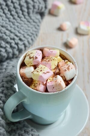 Hot chocolate with marshmallows and winter scarfの写真素材