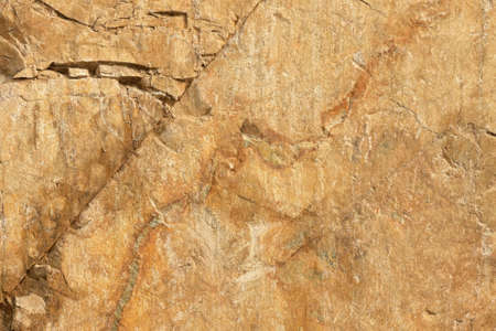 Surface Of A Quarry Stone in Macin Mountainの写真素材