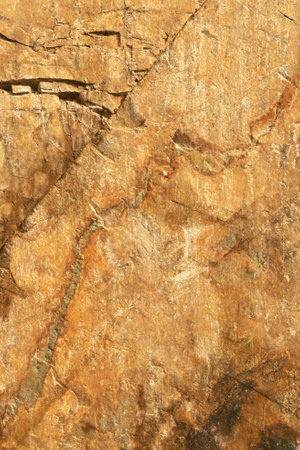 Surface Of A Quarry Stone in Macin Mountainの写真素材