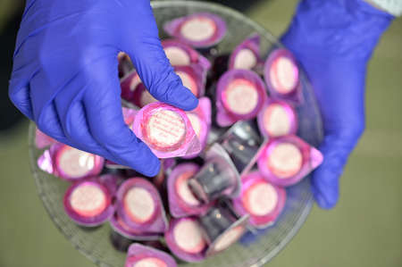 Hands Takes Communion In One Time Use Containers To Protect From The Virusの写真素材