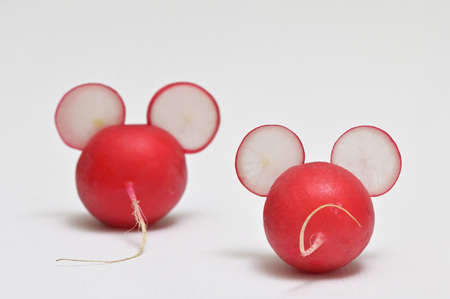 Creative Vegetable Little Mice From Radishの写真素材