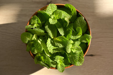 Wooden Bowl  and Fresh Mint leavesの写真素材