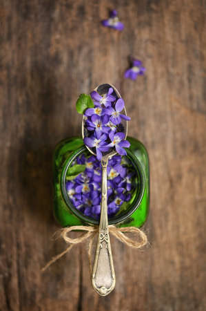 Conceptual Herbaceous Perennial Plant Viola Odorataの写真素材