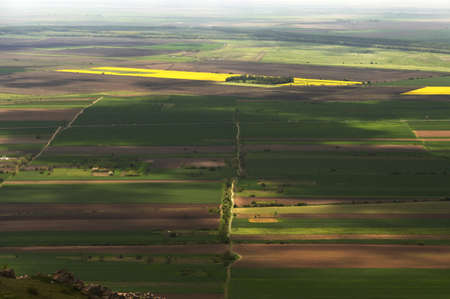 Aerial View Of Yellow And Green Rape Fields in Macin, Romaniaの写真素材