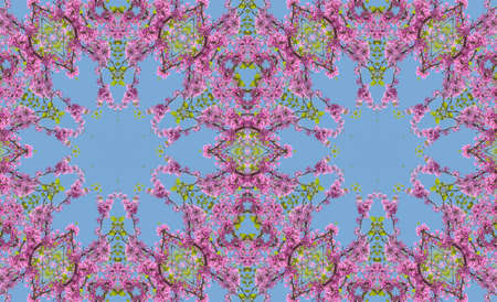 Abstract Seamless Geometric Spring Flowers Patterns Kaleidoscopeの写真素材