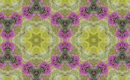 Abstract Geometric Patterns Kaleidoscope Purple bougainvillea flowersの写真素材