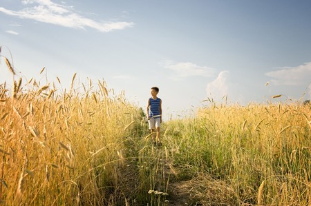 Boy walking through golden wheat field on summer dayの写真素材