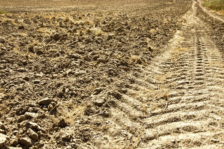 Fresh tractor track in the dirt on fieldの写真素材