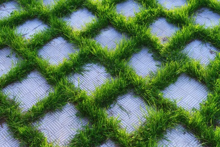Green grass grows through the square hole in the tile background