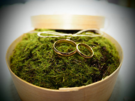 wedding rings in a wooden box with moss on the table