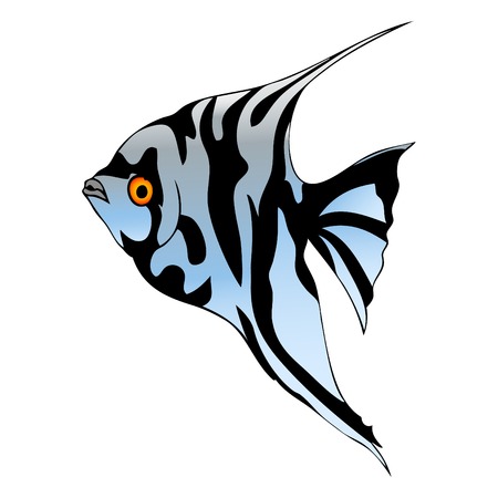 Graphic fishのイラスト素材