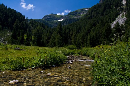 High mountains river and meadowの写真素材
