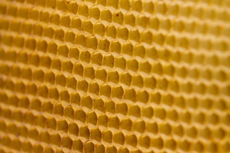 Honeycombの写真素材