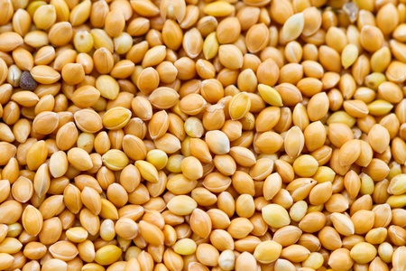 Millet texture, close-up picture  Pet food の写真素材