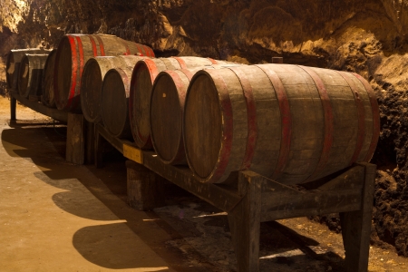An old wine cellar with oak barrels