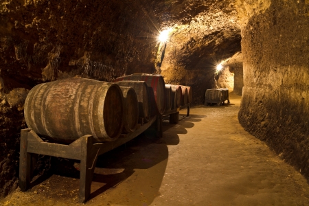 An old wine cellar with oak barrelsの写真素材