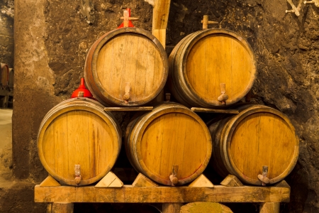 An old wine cellar with oak barrelsの写真素材