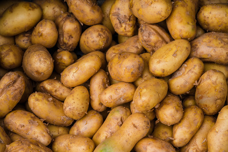 Potatoes raw vegetables food in market for pattern texture and background の写真素材