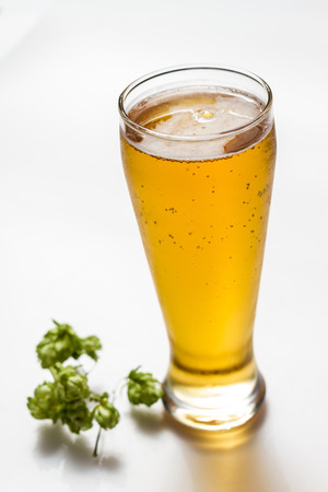 Light beer isolated from whiteの写真素材