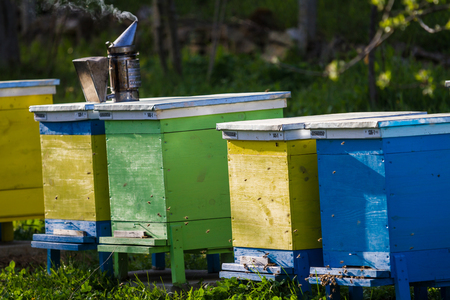 Bee hives on spring garden with blooming fruit trees with blossom and flowersの写真素材