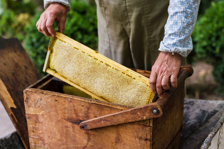 Beekeeper working with old basket and honeycomb with honeyの写真素材