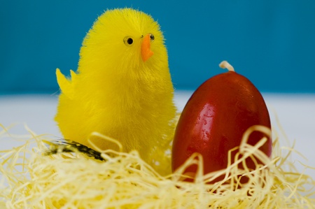 Little yellow Chick with red Candle Egg. Background is blue and white and it is  blurの写真素材