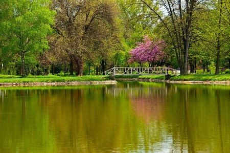Lake in the central park in Skopjeの写真素材